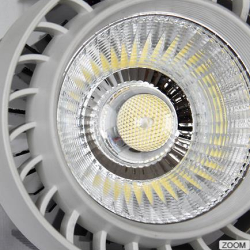 LED RỌI RAY 20W