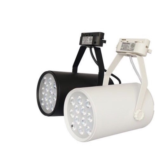 LED RỌI RAY HẠT 12W